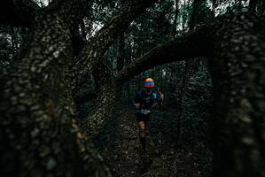 BIB: 
                            <button type="button" onclick="openModal(25690145)" class="btn btn-primary btn-sm float-right btn-popup" data-toggle="modal" data-target=".modal-high-quality">
                        <i class="fas fa-shopping-cart"></i> Add to Cart
                    </button>
                                            <button type="button" onclick="isThisMe(25690145, true)" class="btn btn-success btn-sm float-right btn-popup btn-isme hidden" data-toggle="tooltip" data-placement="bottom" title="นี่คือรูปของคุณใช่ไหม คลิกที่นี่เพื่อเอาเข้าอัลบั้ม">
                        <i class="fas fa-plus"></i> Add to album
                    </button>
                    <button type="button" onclick="isThisMe(25690145, false)" class="btn btn-warning btn-sm float-right btn-popup btn-isnotme hidden">
                        <i class="fas fa-ban"></i> Remove from album
                    </button>